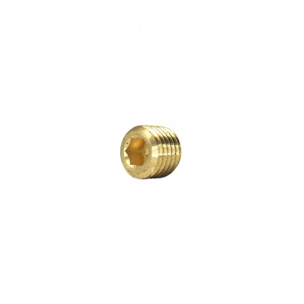 METRIC SHCS PLUGS BRASS PLUG M12 X 1.5