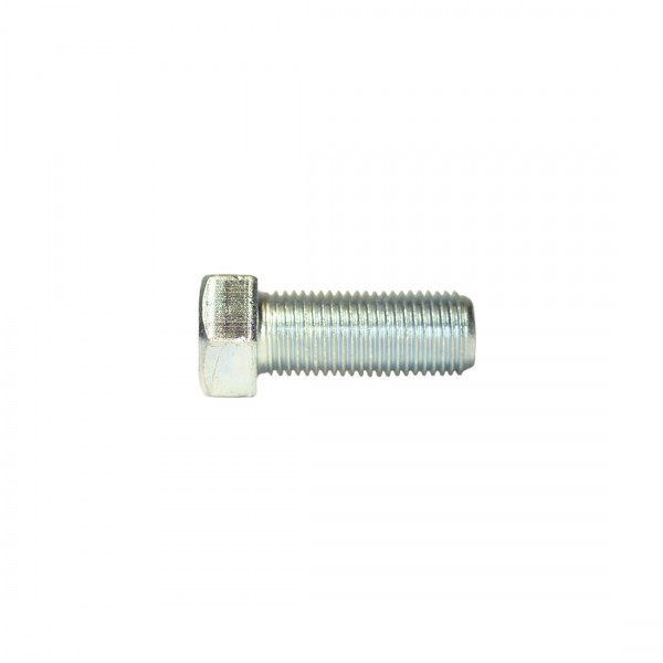 JIS B1180 METRIC HEX BOLT M12X25 Z | PITCH 1.25 | LARGE HEAD M17