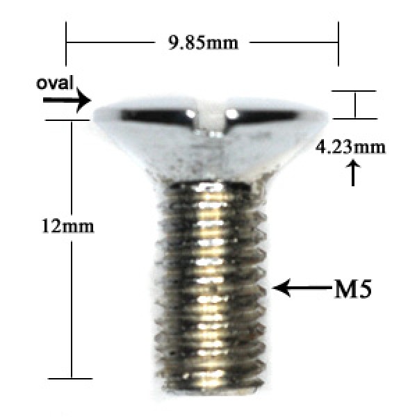 OVERSIZED CHROME OVAL SHIFTER SCREW M05X12