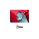 POLISHED SLOT STAINLESS STEEL SCREW M05X16