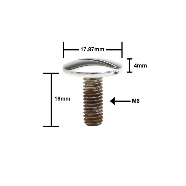 NEWCO SLOT SCREW FOR 275-330 Spyders & Coupe 