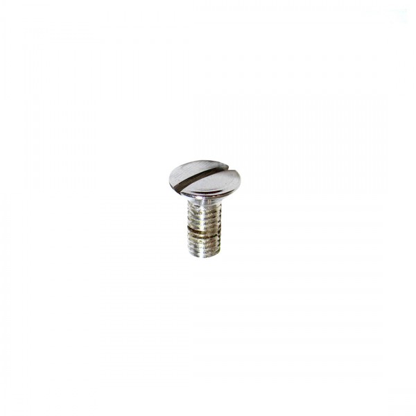 OVERSIZED CHROME OVAL SHIFTER SCREW M05X12