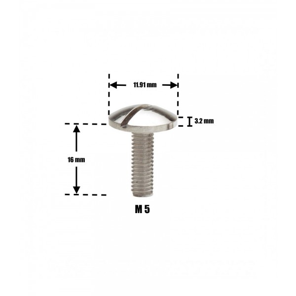 POLISHED SLOT STAINLESS STEEL SCREW M05X16